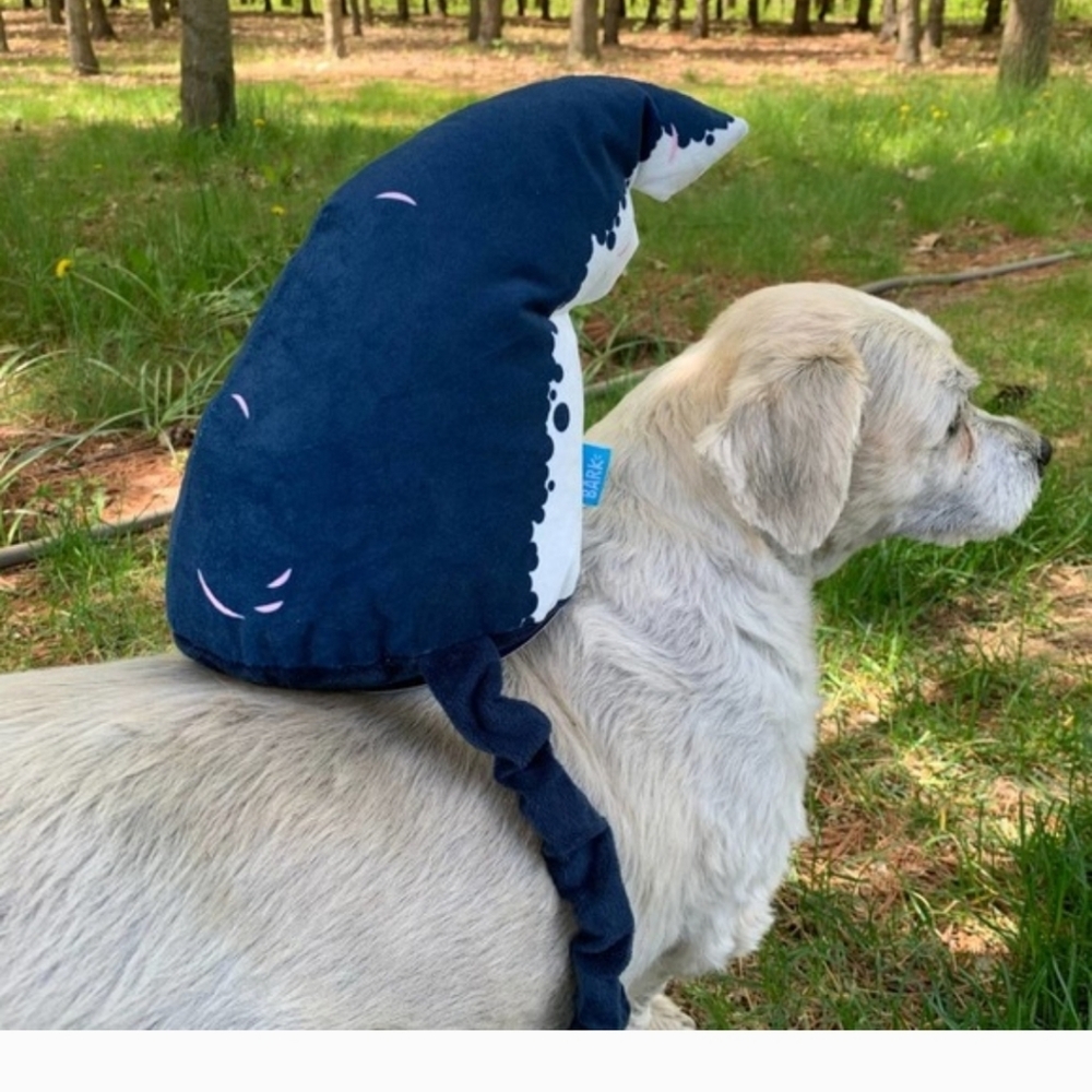 Bark Box Shark Fin, NWTs